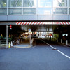 Shibuya Snap #2