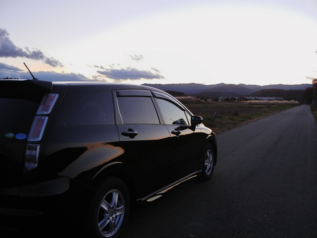 どこにいこうか・・・