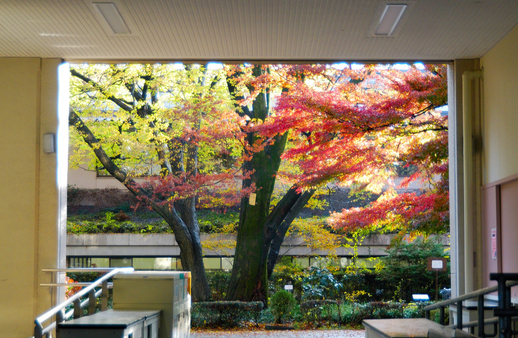 抜け道