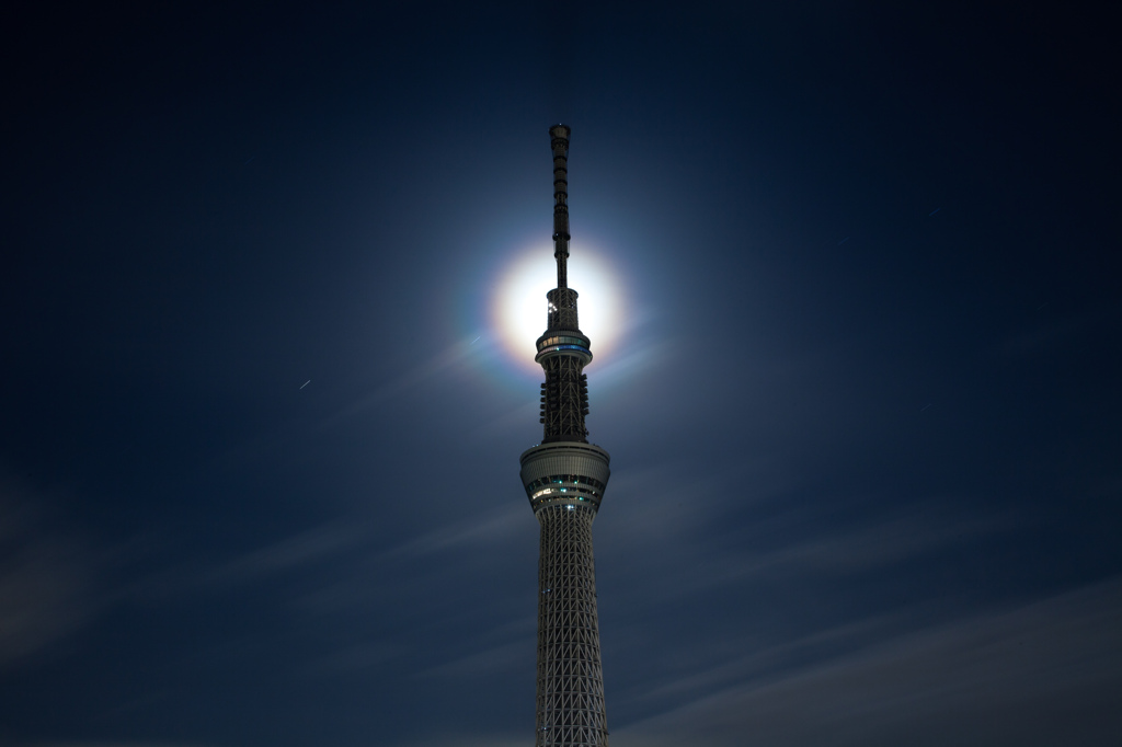 Moonlight-9391