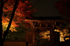 東漸寺　Lighting　2011