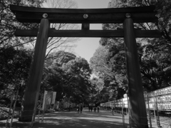 大鳥居