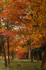 noda_park
