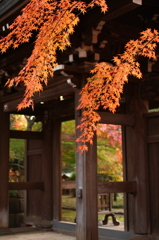 東漸寺　2011