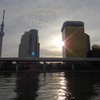 2012年初日昇る