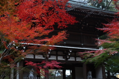 東漸寺　2011