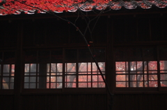 本土寺 雨上り