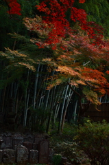 東漸寺　2011