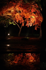 東漸寺　2011