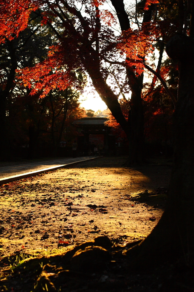 東漸寺　2011