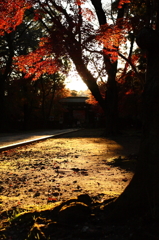 東漸寺　2011