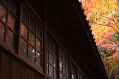 本土寺 雨上り