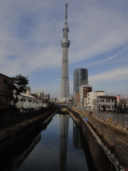 あけましておめでとうございます