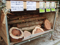 弊社の薪置き場♪ご自由にお持ち下さい♪