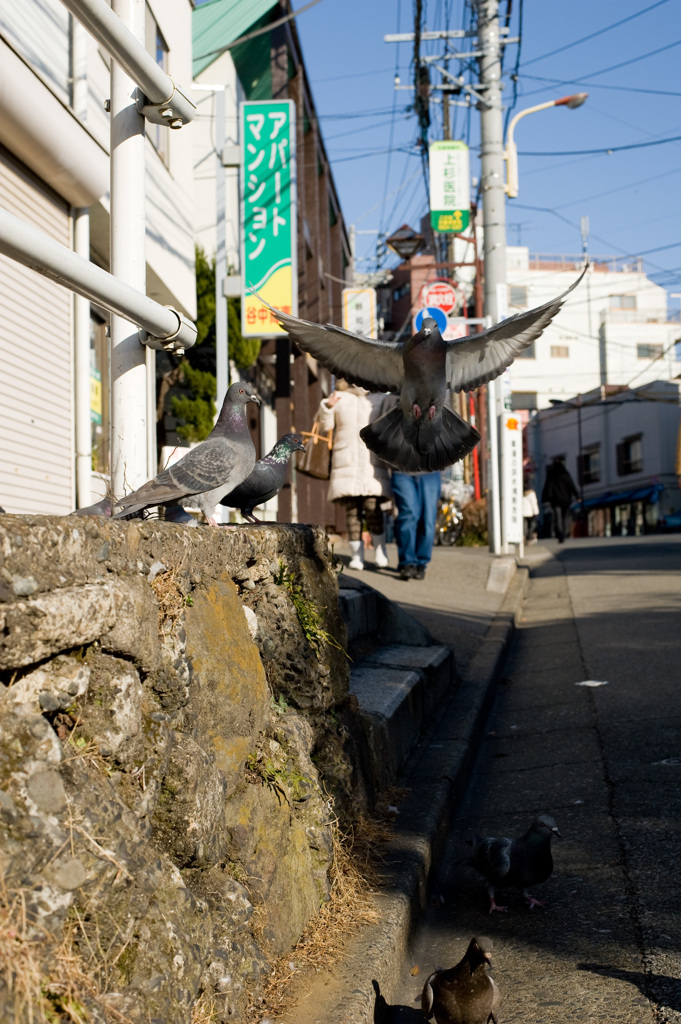 飛びましょう