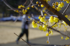 ジョギングする人