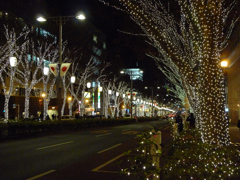 表参道イルミ　１