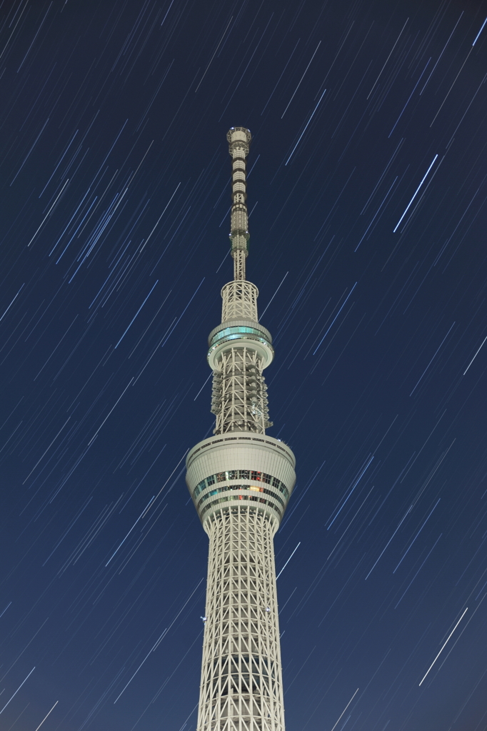 Night Skｙ Tree