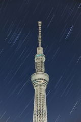 Night Skｙ Tree