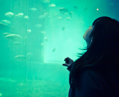 水族館
