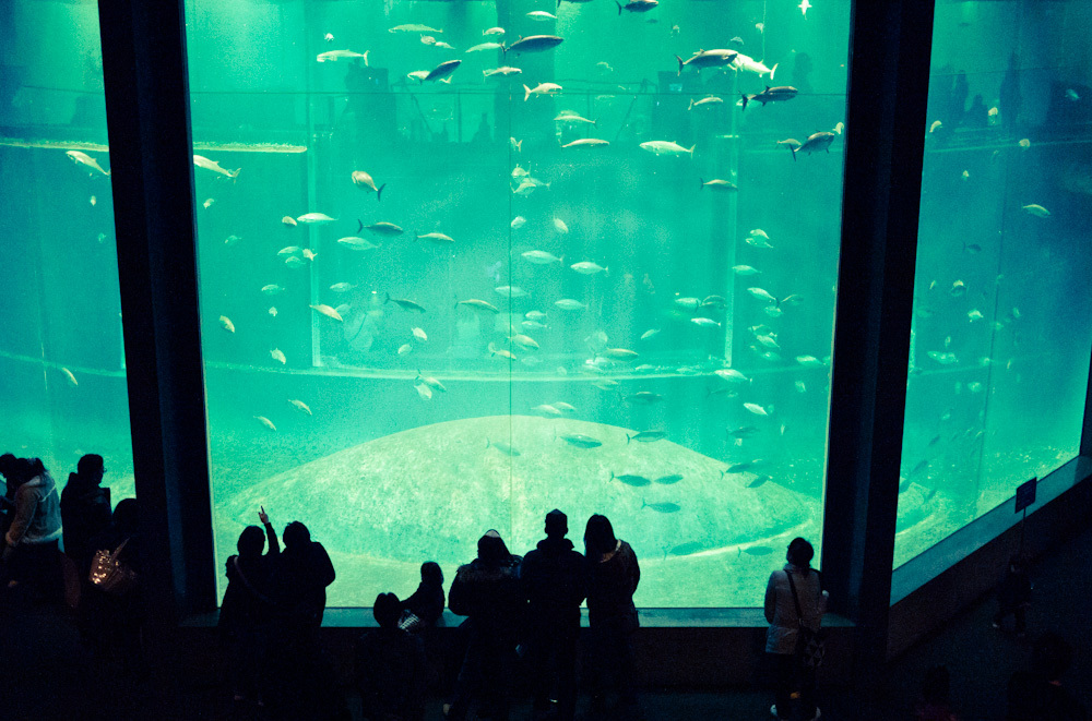 水族館