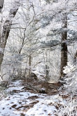 雪のトンネル