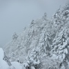 樹氷だけは…