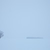 吹雪の中