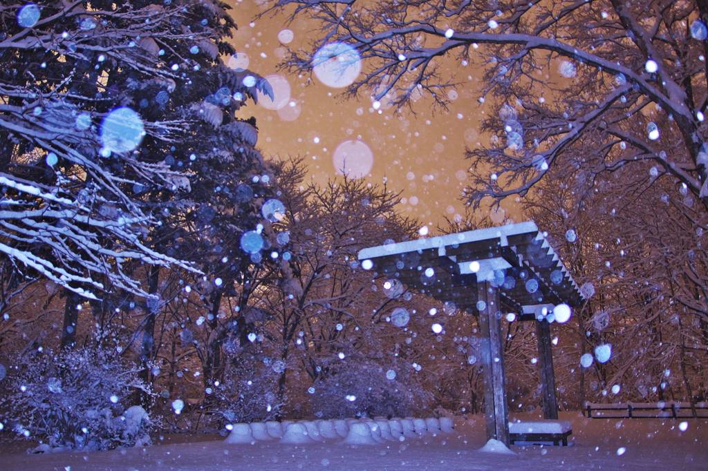 雪ふる森のステージ