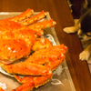 dog Vs crab