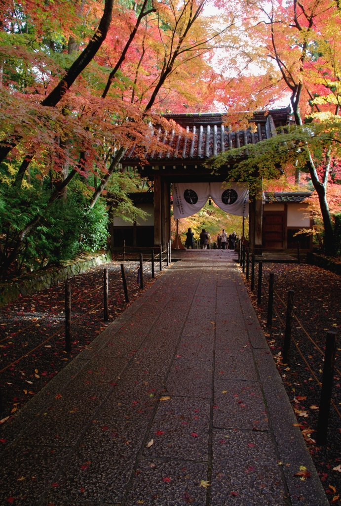 粟生光明寺薬医門