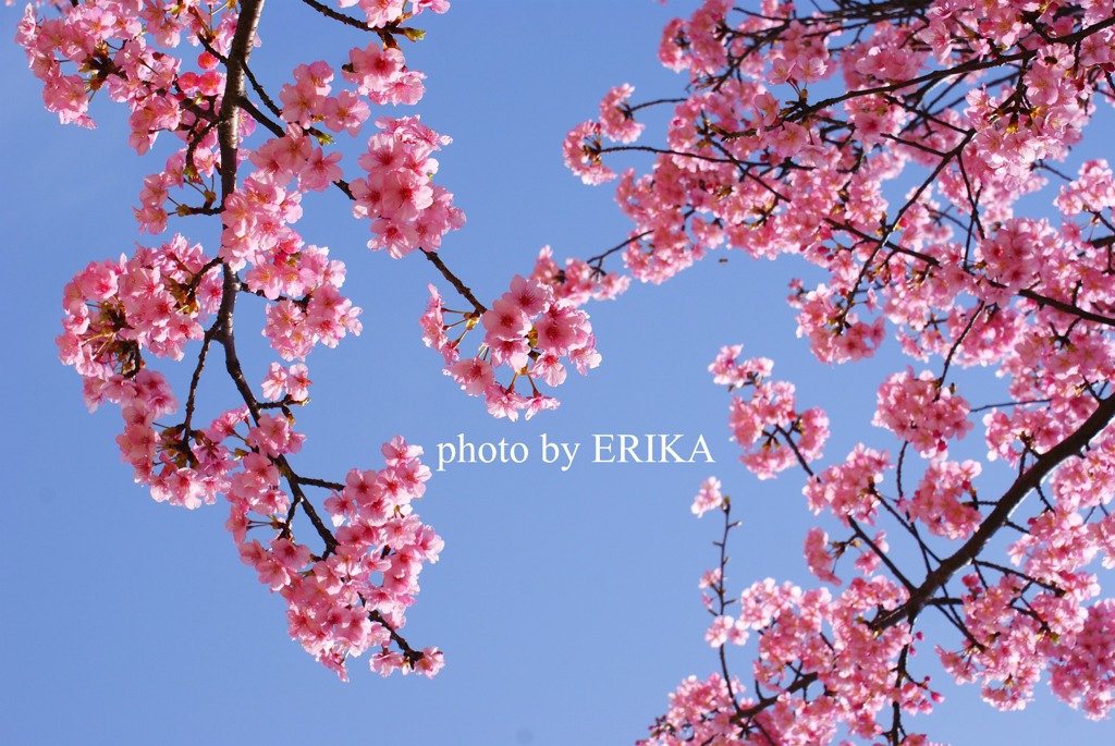 spring♪