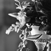 モノクロの花