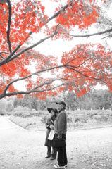 紅色の木と夫婦