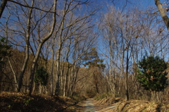 秩父山