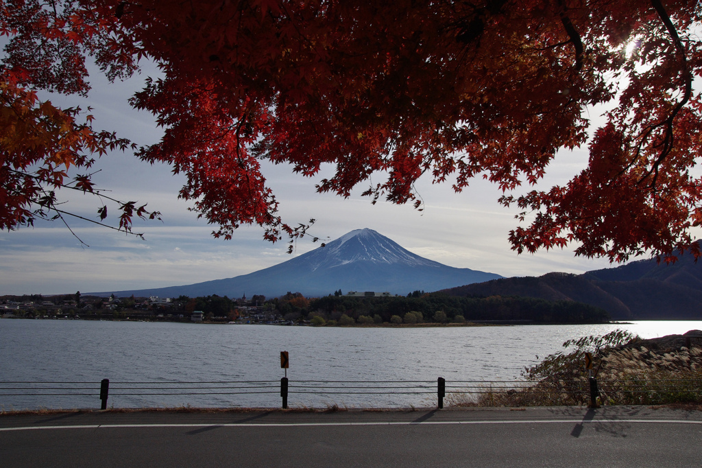 富士山河口湖