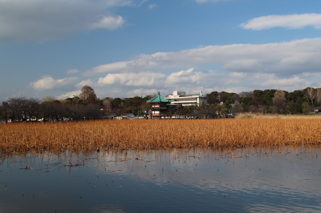 上野公園