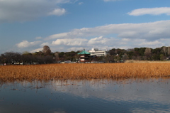 上野公園