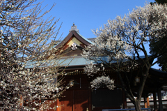 湯島天神本堂