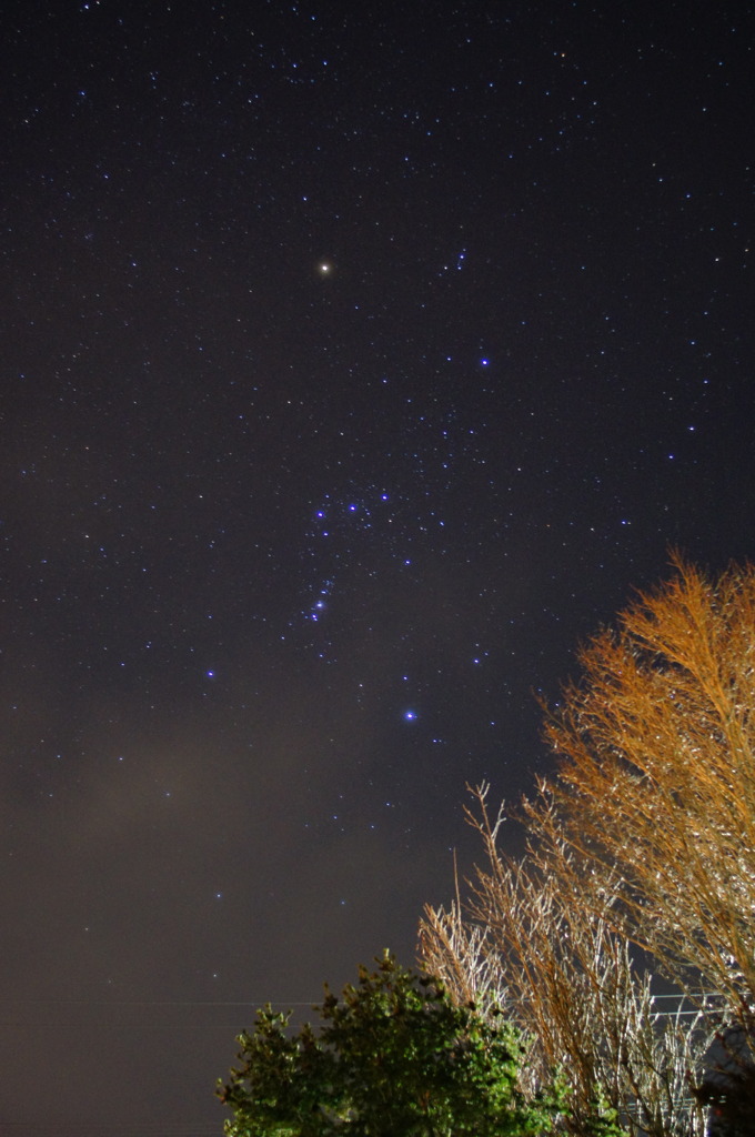 Diamond Orion