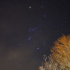 Diamond Orion
