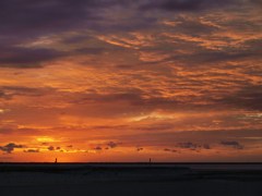 dawn