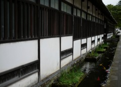 SLやまぐち津和野探索街並編10