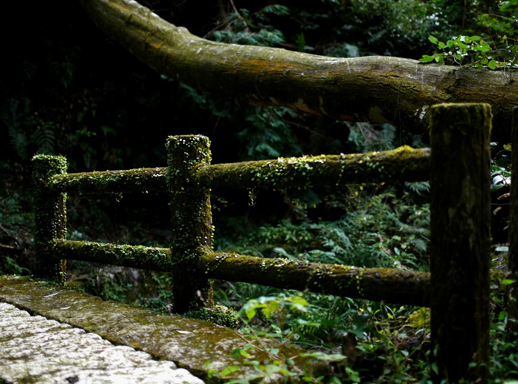 龍造寺6