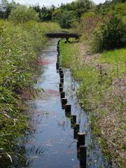 きらら浜自然観察公園3
