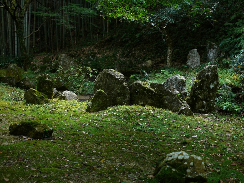 龍造寺8
