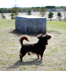 宇部空港の公園5