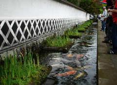 SLやまぐち津和野探索街並編0