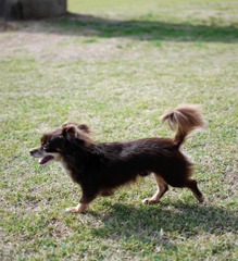 宇部空港の公園8