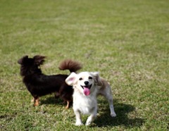 チョコ＆リボン　IN　宇部空港